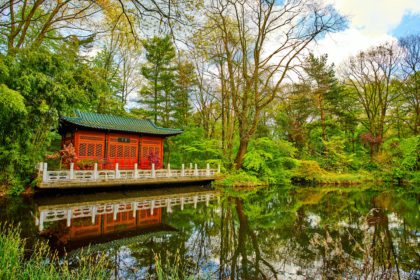 Asian garden. japanese zen garden